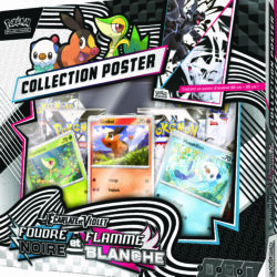Pokémon - Coffret Collection Poster - EV10.5 Foudre Noire et Flamme Blanche