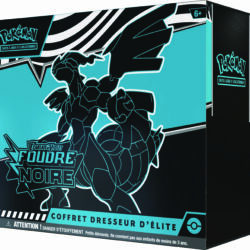 POKÉMON JCC : COFFRET DRESSEUR D'ÉLITE ÉCARLATE ET VIOLET - EV 10.5 FOUDRE NOIRE - FR